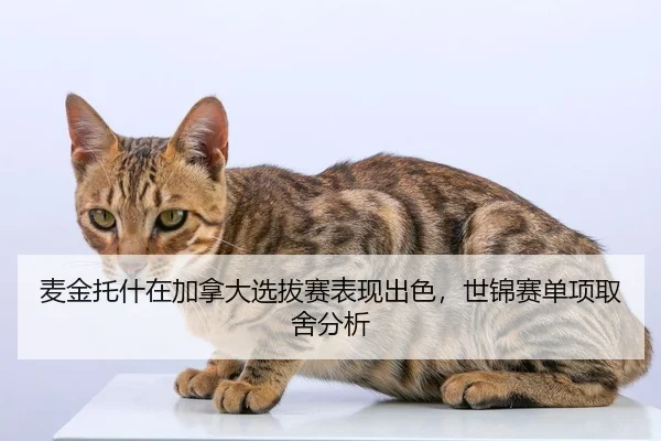 mai-jin-tuo-shen-zai-jia-na-da-xuan-ba-sai-biao-xian-chu-se-shi-jin-sai-dan-xiang-qu-she-fen-xi-2-162.jpg
