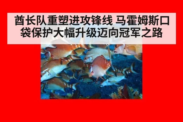 酋长队重塑进攻锋线 马霍姆斯口袋保护大幅升级迈向冠军之路