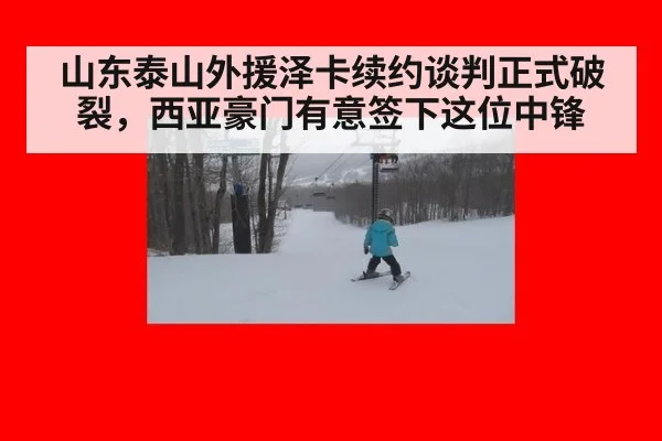 山东泰山外援泽卡续约谈判正式破裂，西亚豪门有意签下这位中锋